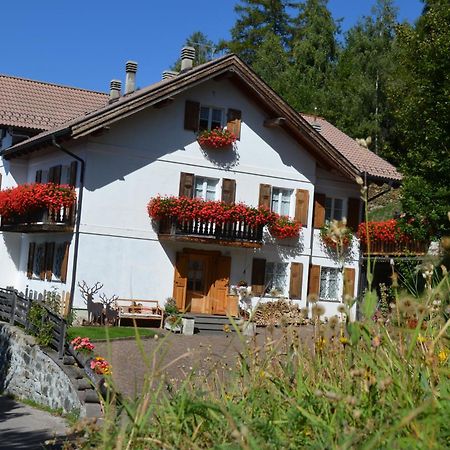 Villa Gioia Левико Терме Екстериор снимка